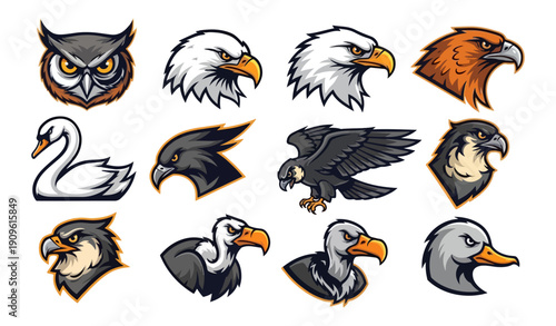 Collection of avian illustrations on dark background for various designs