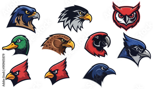 Diverse avian portraits collection of bird head illustrations