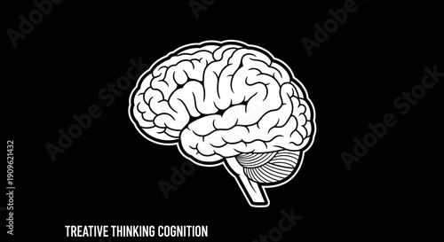 Detailed human brain anatomy on solid black background representing creative thinking and cognition