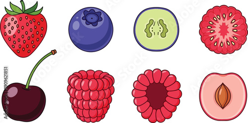 Assorted fresh fruit illustrations