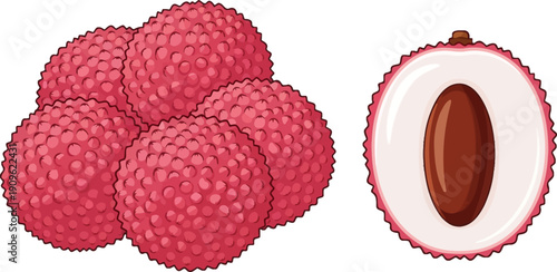 Lychee fruit and cross section illustration