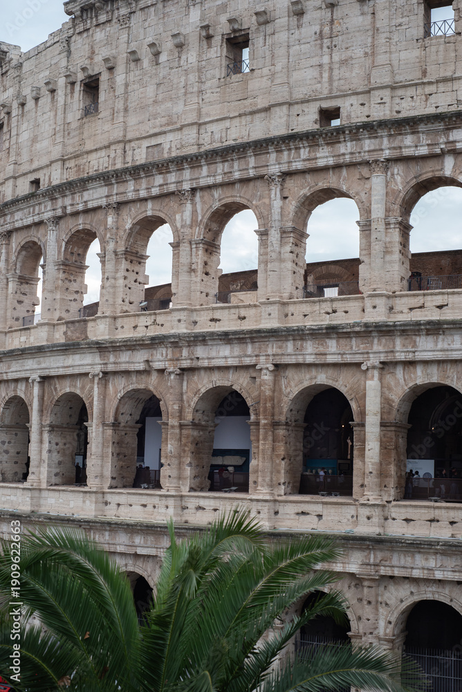 Obraz premium Layered Arches of the Colosseum Framed by Palm Leaves with Visitors Exploring the Ancient Amphitheatre in Rome, Italy
