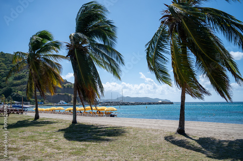 tropical beach with palm trees