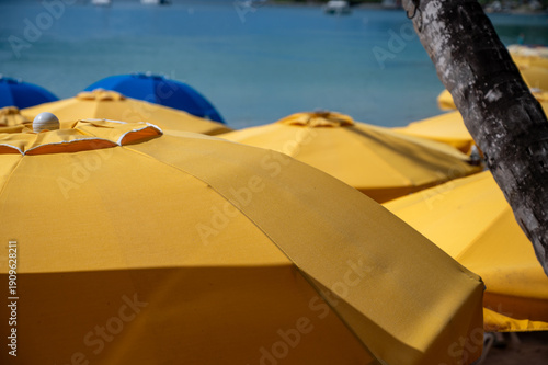 Yellow sun shade umbrellas in beach Caribbean

