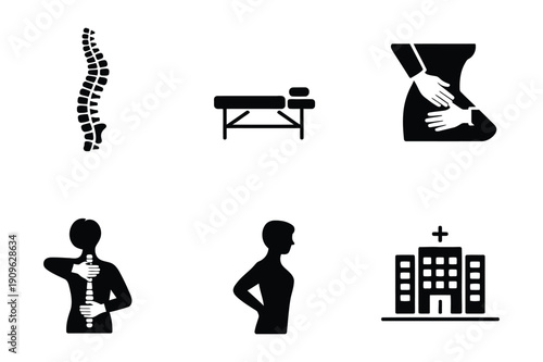 Spine and physical therapy icons: chiropractic, hospital, massage
