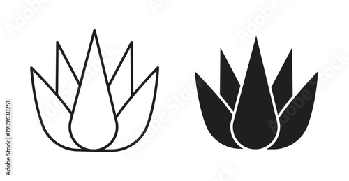 Aloe vera icon