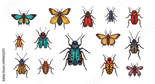 Colorful collection of various illustrated insects including butterflies and beetles