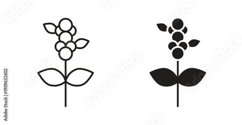 Coffee plant icon