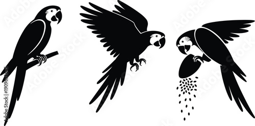 Professional young businesswoman working on laptop in bright modern home office with coffee cup and green plants for remote work lifestyle concept.