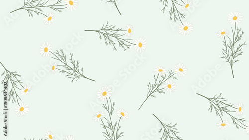 Delicate seamless pattern of white daisy flowers with yellow centers on a soothing light green background for springtime decoration.