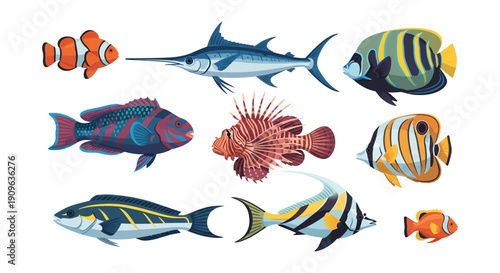 Collection of colorful diverse fish species illustrated in a graphic style