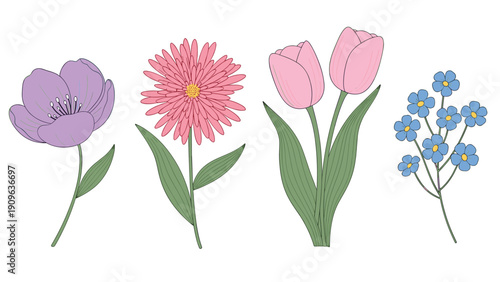 Set of four beautiful hand-drawn floral illustrations featuring a purple anemone, pink chrysanthemum, tulips, and blue forget-me-nots.