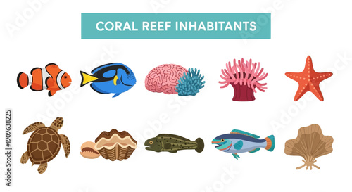 Coral reef inhabitants illustrated in two rows of colorful marine life icons
