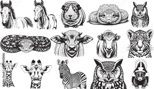 Monochrome hand drawn wildlife icons featuring horse owl snake leopard giraffe and skunk