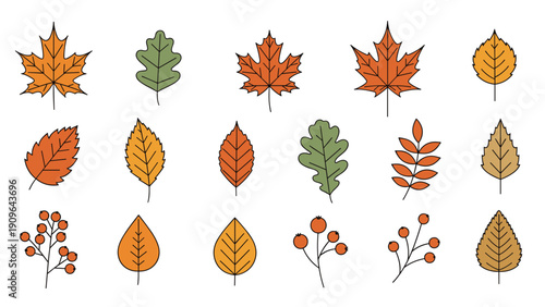 Extensive set of autumn leaves and berry branches features various shapes and colors like maple and oak for seasonal nature designs.