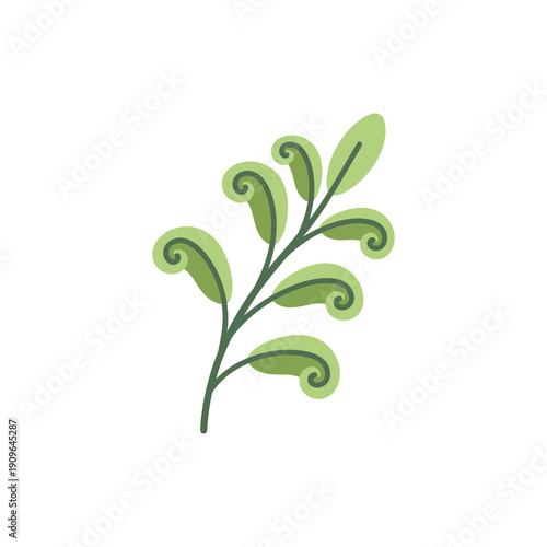 Sage Branch with Curled Spiral Leaves, Green Herb, Botanical Illustration, Flat Vector Art