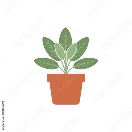 Sage Plant in Terracotta Pot, Flat Vector Icon, Green Leaves Illustration