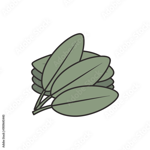 Stacked Sage Leaves in Green, Minimalist Flat Herb Illustration Vector