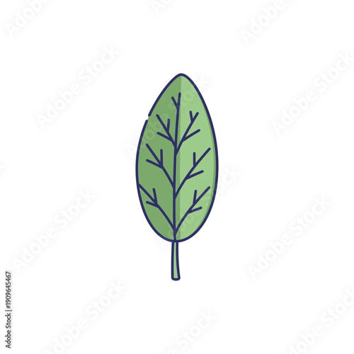 Sage Leaf with Colored Veins, Minimal Flat 2D Icon, Isolated on White Background