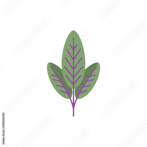 Sage Leaves with Purple Veins, Minimalist Flat Stylized 2D Vector Icon