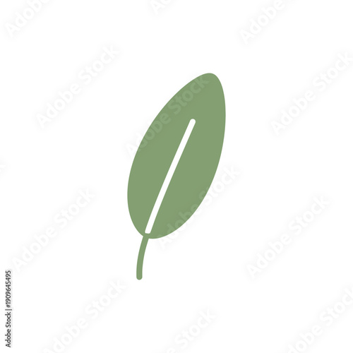 Sage Leaf with Rounded Edges, Minimal Flat 2D Illustration, Isolated on White