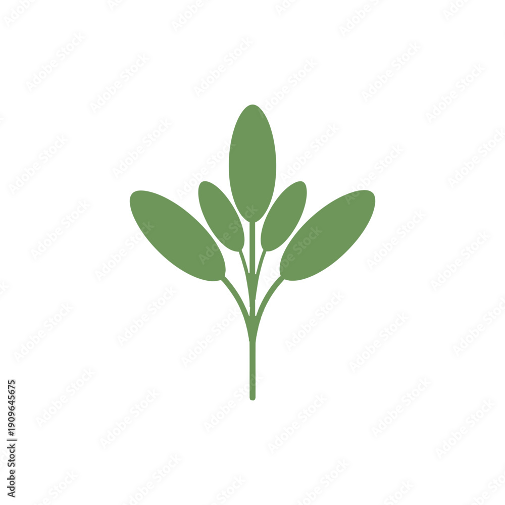 Obraz premium Sage Sprig with Oval Leaves Minimalist Flat Green Botanical Illustration