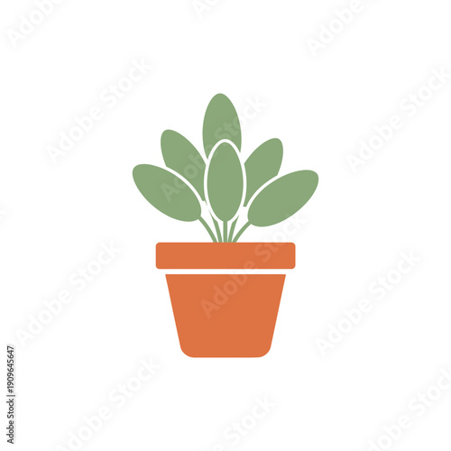 Potted Sage Plant with Oval Green Leaves, Flat 2D Vector Illustration