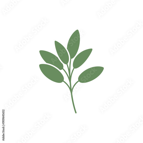Sage Plant Silhouette with Oval Leaves, Flat Minimal 2D Vector Art