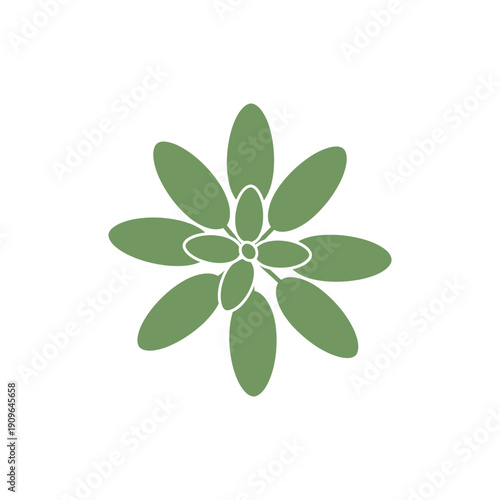 Sage Plant Top View with Oval Leaves Flat Graphic Illustration Vector Art