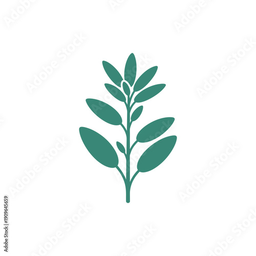 Sage Plant Branch with Dark Green Leaves, Minimal Flat 2D Silhouette Art