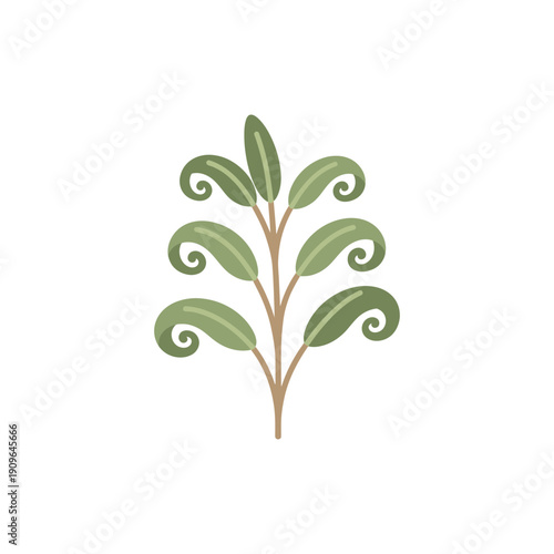 Sage Plant with Curled Leaves Flat Vector Botanical Illustration Minimalist Art