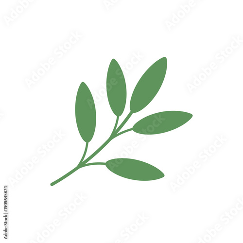 Sage Sprig Floating Flat 2D Vector Illustration Minimalist Herb Plant Art