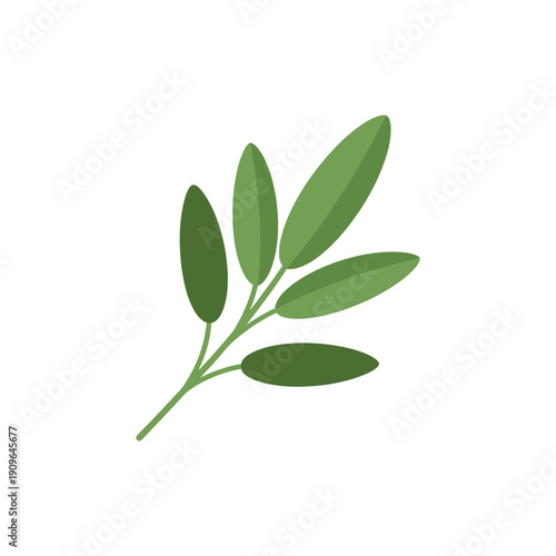 Sage Sprig with Green Oval Leaves Flat Minimalist Botanical Vector Illustration