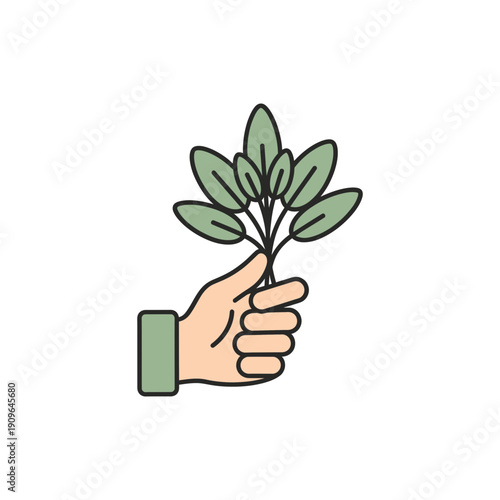 Hand Holding Sage Sprig Green Leaves Minimalist Flat Botanical Illustration