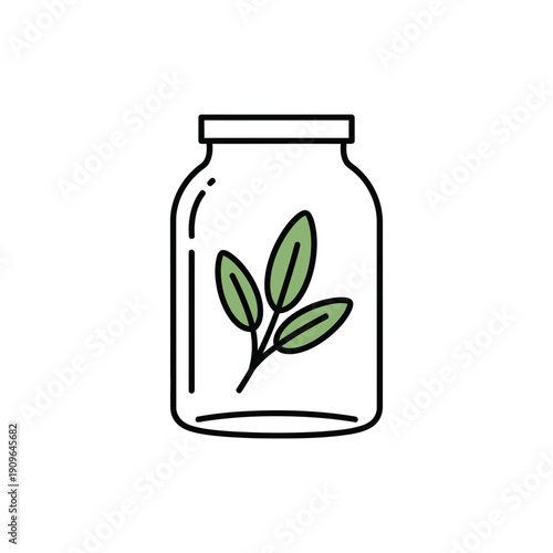 Sage Sprig in Glass Jar Minimalist Green Leaves Flat Botanical Illustration