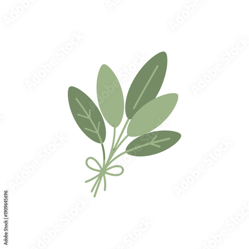 Sage Herb Bundle with Twine, Oval Green Leaves Minimal Flat Icon
