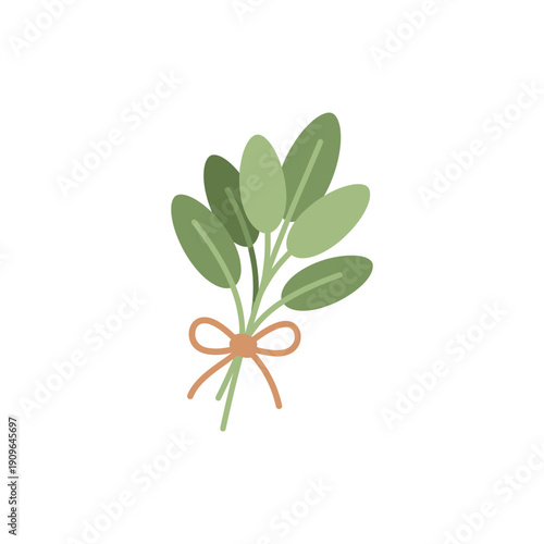 Sage Leaf Bunch with Orange-Brown Ribbon, Minimalist Flat Vector