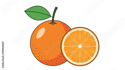 Detailed illustration of a whole orange fruit with a green leaf and a perfectly sliced half showing the inside segments.
