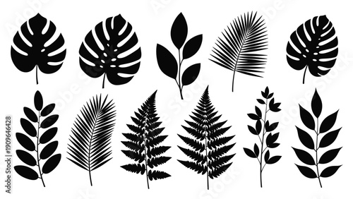 Collection of various leaf silhouettes in black on a white background including tropical monstera palm and fern types.