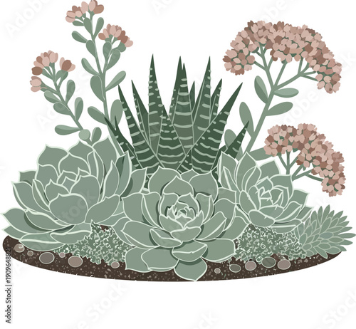 Assorted succulents and cacti arrangement isolated on transparent background