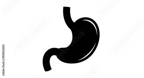 Illustration shows a human stomach 4y7 (94)