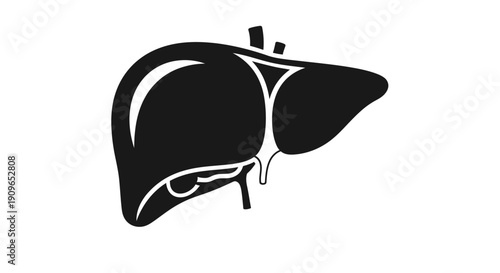 An illustration of a human liver anatomy in a medical context for educational purposes 4y7 (93)