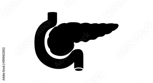 Anatomical illustration of human pancreas and digestive system viewed from the side.
