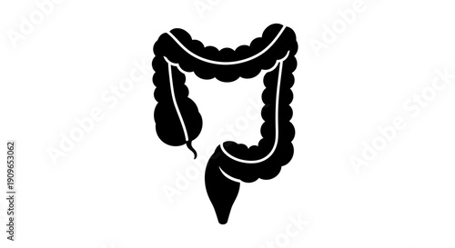 An illustration of the human large intestine and 4y7 (105) digestive system