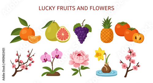 Illustrations of lucky fruits and flowers in two rows against a white background