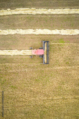 A self-propelled mower cuts grain and places it into a windrow to soften the grain before threshing. Aerial view of a wheat field.