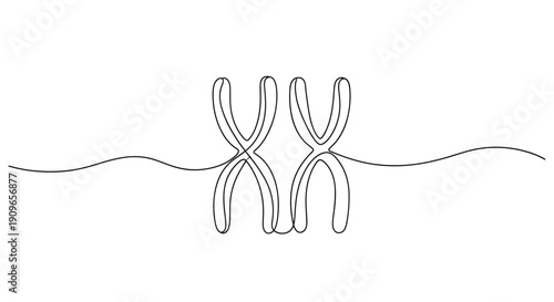 Simple continuous line drawing of two chromosomes on white background. no editable stroke