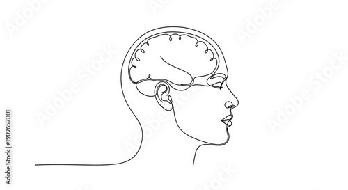 Outline of human brain and head profile in simple line art drawing. no editable stroke