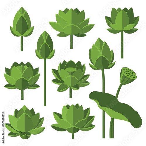 A collection of stylized green aquatic plants and lotus flowers in various stages