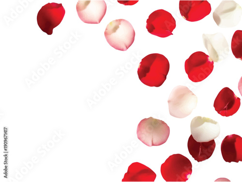 A detailed vector file illustration showcasing a modern design concept